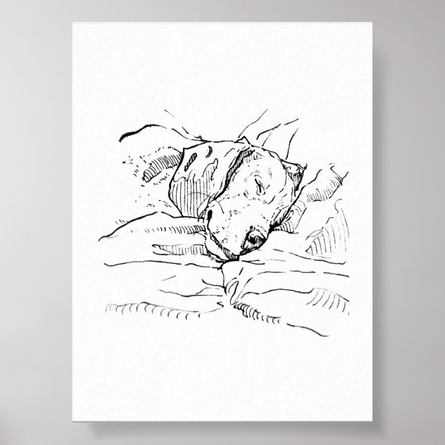 Affiche Illustration d'amour pour le chien Beagle  (Devant)