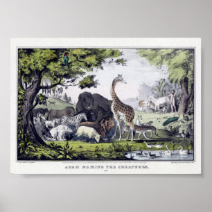 Affiche Illustration d'animaux sauvages vintages