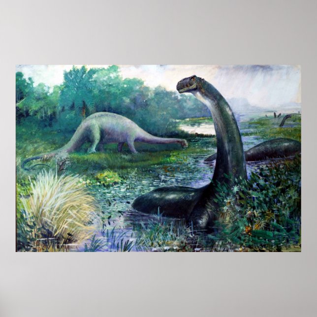 Affiche Illustration de Brontosaurus (Devant)