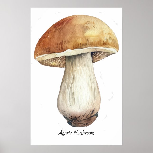 Affiche Illustration de champignon d'aquarelle (Devant)