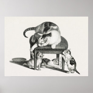 Affiche Illustration de chats Vintages