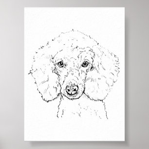 Affiche Illustration de chien caniche mignon, dessinée à l