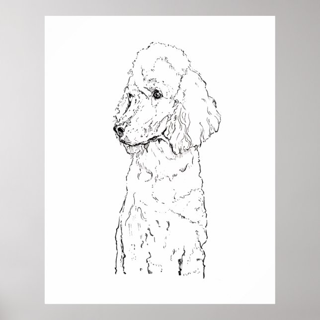 Affiche Illustration de chien Caniche Standard - Art à l'e (Devant)