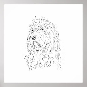 Affiche Illustration de chien, Cockapoo d'art mural