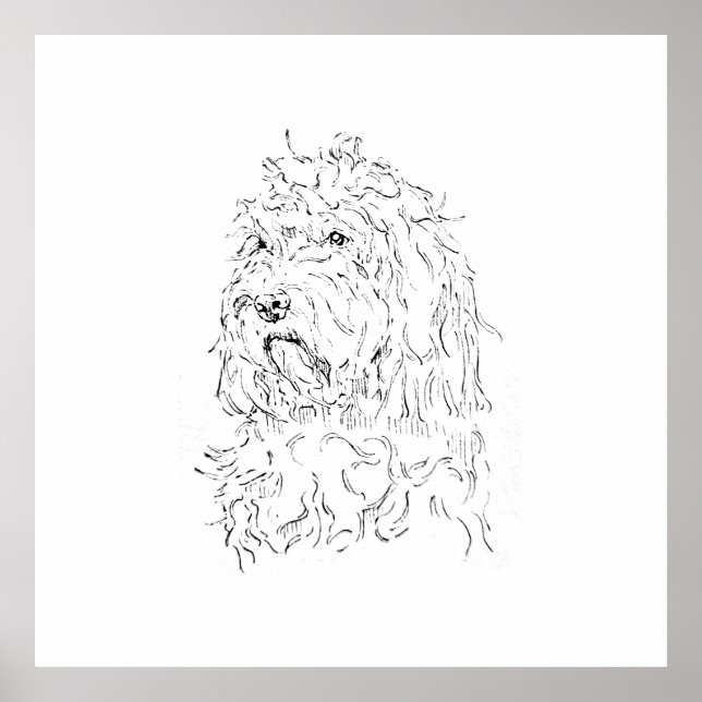 Affiche Illustration de chien, Cockapoo d'art mural (Devant)