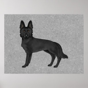 Affiche Illustration de chien de berger allemand noir de d