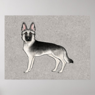 Affiche Illustration de chien mignon berger allemand Silve