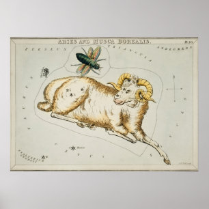 Affiche Illustration de constellation vintage