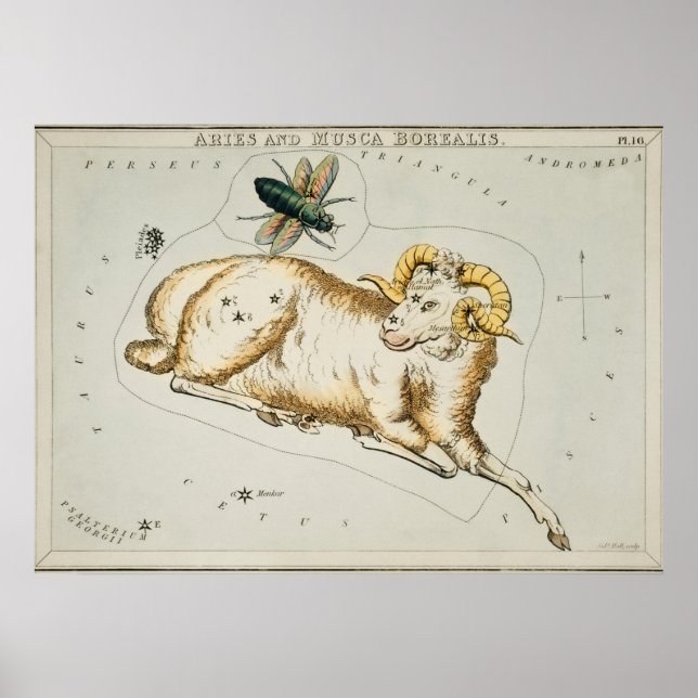Affiche Illustration de constellation vintage (Devant)