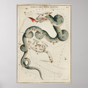 Affiche Illustration de constellation vintage