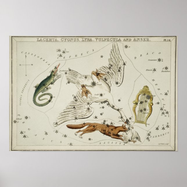 Affiche Illustration de constellation vintage (Devant)