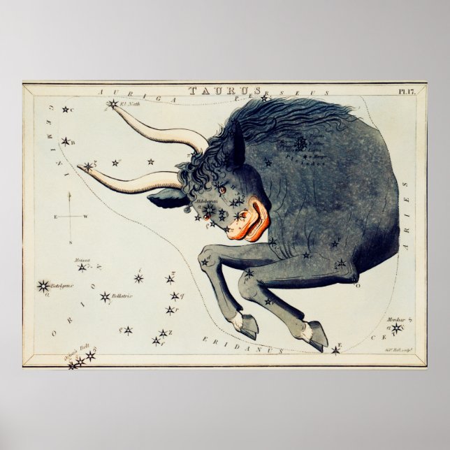 Affiche Illustration de constellation vintage (Devant)