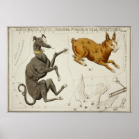 Illustration de constellation vintage