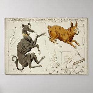 Affiche Illustration de constellation vintage