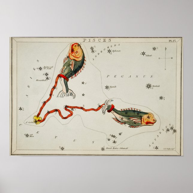 Affiche Illustration de constellation vintage (Devant)