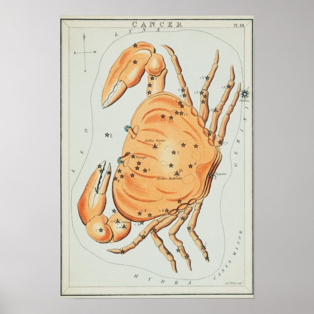 Affiche Illustration de constellation vintage (Devant)