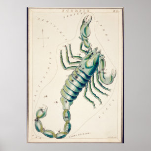 Affiche Illustration de constellation vintage