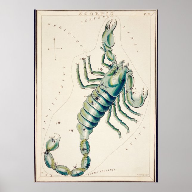 Affiche Illustration de constellation vintage (Devant)