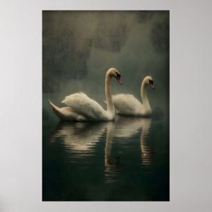 Affiche Illustration de couple de cygnes antiques, Art mur