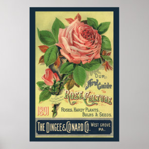 Affiche Illustration de couverture de livre Guide Vintage