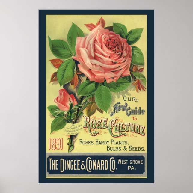 Affiche Illustration de couverture de livre Guide Vintage  (Devant)