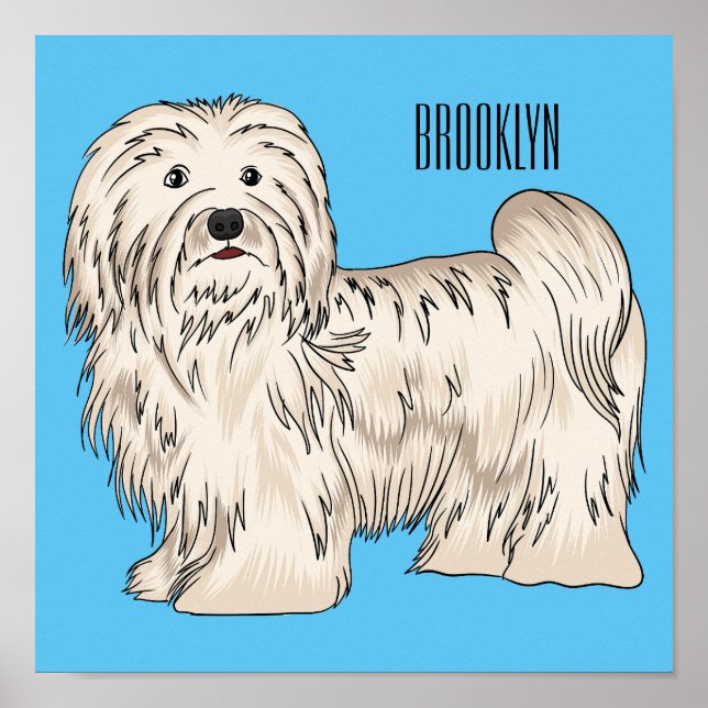 Affiche Illustration de dessin de chien de Havan (Devant)