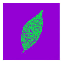 Illustration de feuille squelette violet et vert