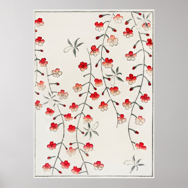 Affiche Illustration de fleurs de cerisier. Amélioré numér (Devant)