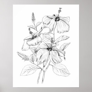 Affiche illustration de fleurs d'hibiscus noir et blanc