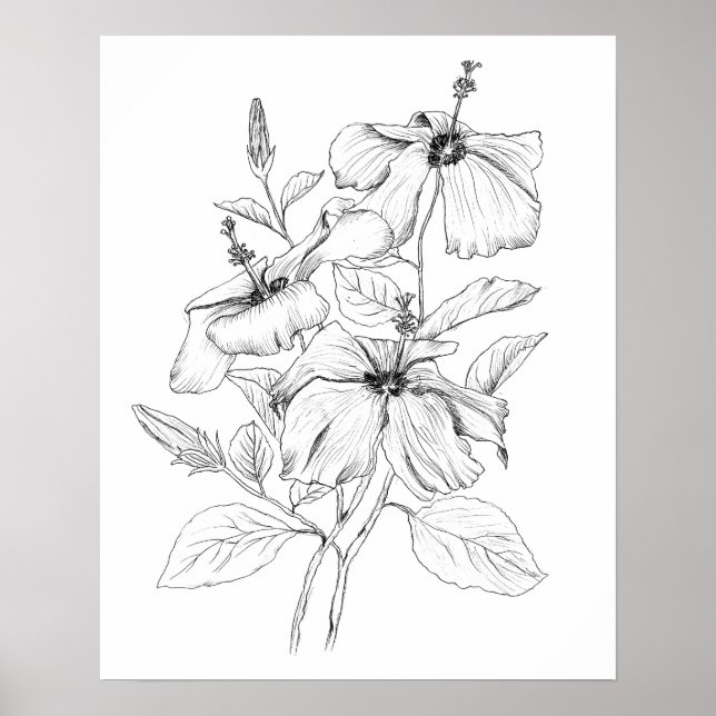 Affiche illustration de fleurs d'hibiscus noir et blanc (Devant)