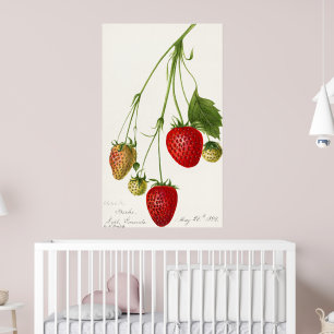 Affiche Illustration de fraise vintage
