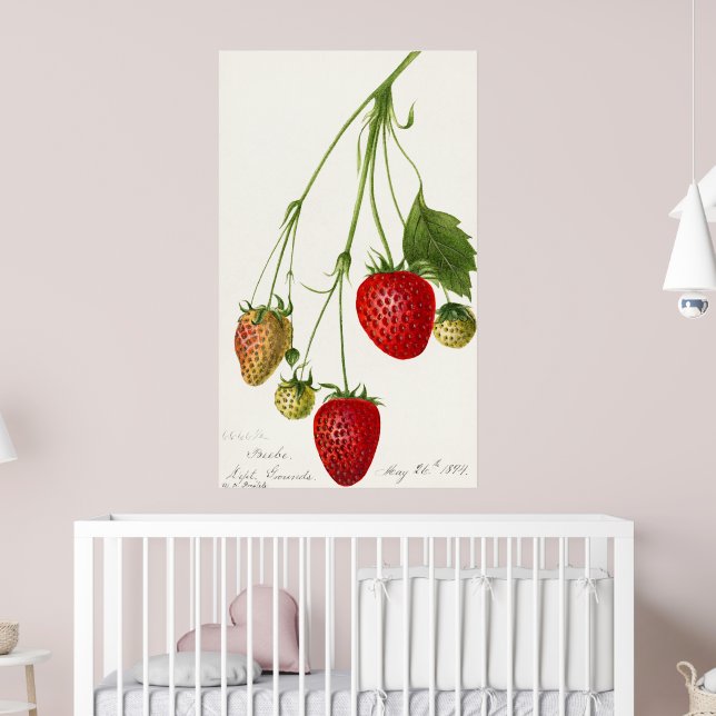Affiche Illustration de fraise vintage (Pépinière 2)