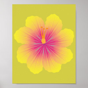 Affiche Illustration de Hibiscus Jaune