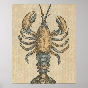 Affiche Illustration de homard antique Maine fruits de mer