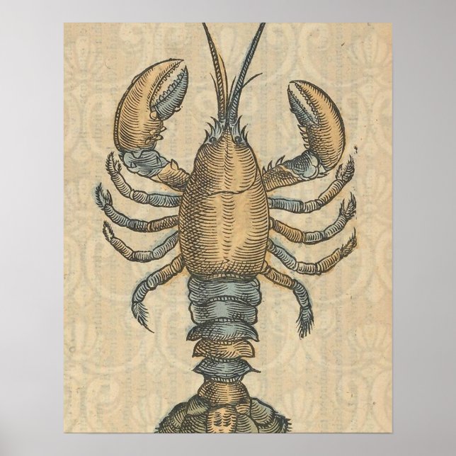 Affiche Illustration de homard antique Maine fruits de mer (Devant)