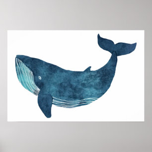 Affiche Illustration de la baleine bleue Petite