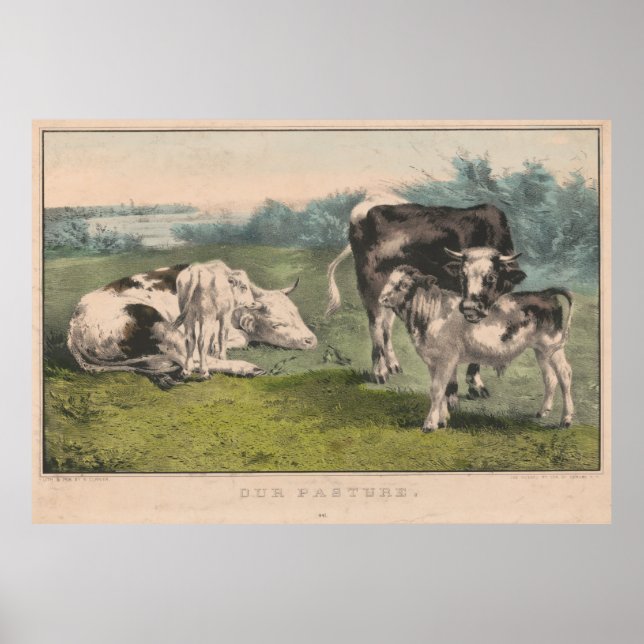 Affiche Illustration de la ferme de bovins vintages (1856) (Devant)