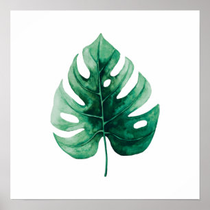 Affiche Illustration de la feuille verte d'aquarelle tropi