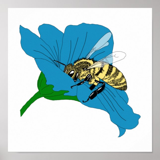 Affiche Illustration de la fleur bleue des abeilles (Devant)