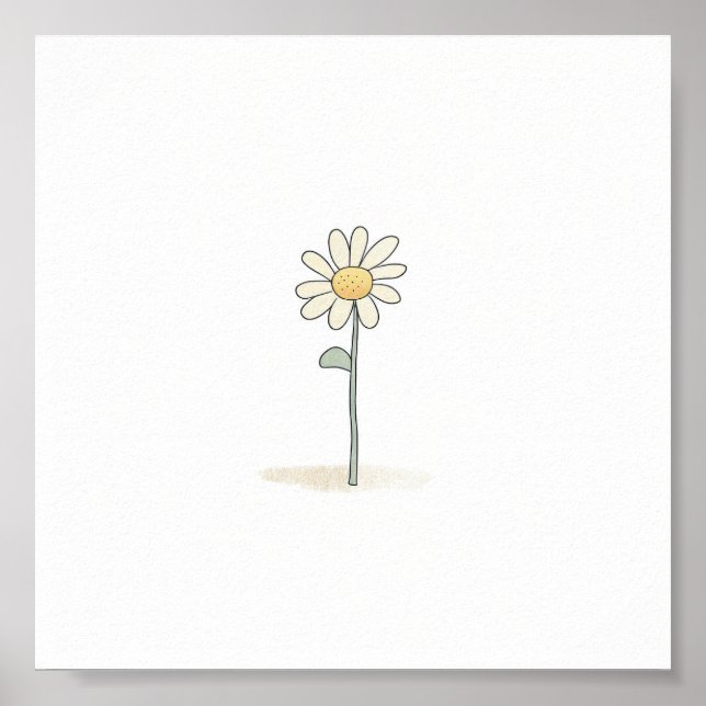 Affiche Illustration de la pâquerette délicate - Fleur sim (Devant)