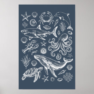 Affiche Illustration de la vie marine nautique vintage