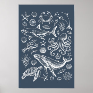 Affiche Illustration de la vie marine nautique vintage