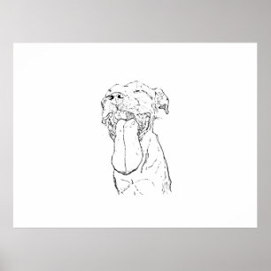Affiche Illustration de l'Am Staffordshire Terrier