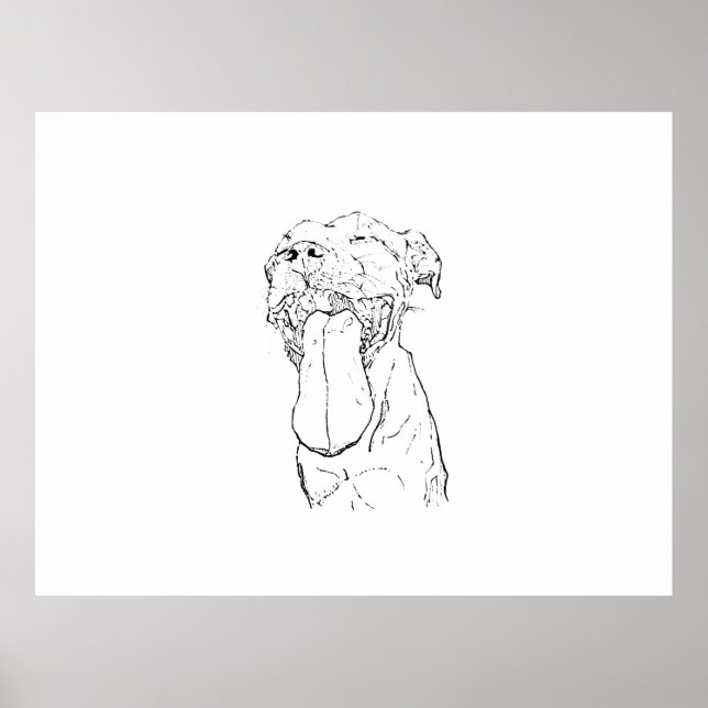 Affiche Illustration de l'Am Staffordshire Terrier (Devant)