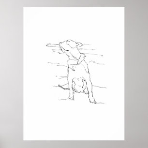 Affiche Illustration de l'Am Staffordshire Terrier