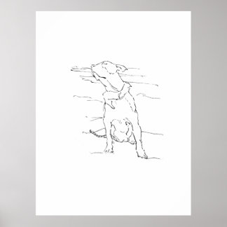Affiche Illustration de l'Am Staffordshire Terrier