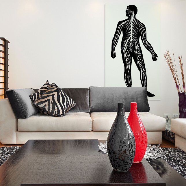 Affiche Illustration de l'anatomie du système nerveux huma (Créateur téléchargé)