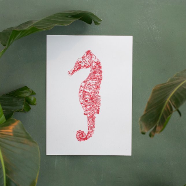 Affiche Illustration de l'animal de mer rouge vie marine m (Créateur téléchargé)