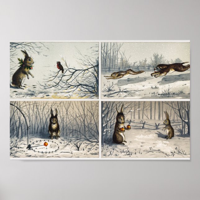 Affiche Illustration de lapin (Devant)