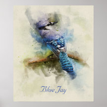 Illustration de l'aquarelle Blue Jay
